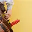 Handyman repair service in Huntsville, AL for home fixes and improvements